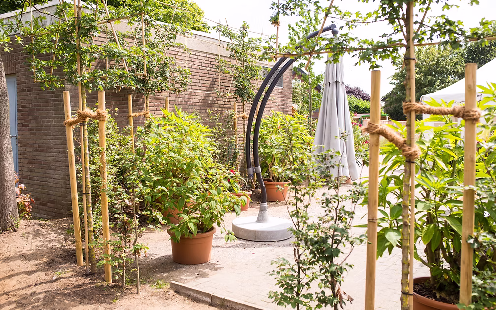Atmospheric evening lighting in the beer garden