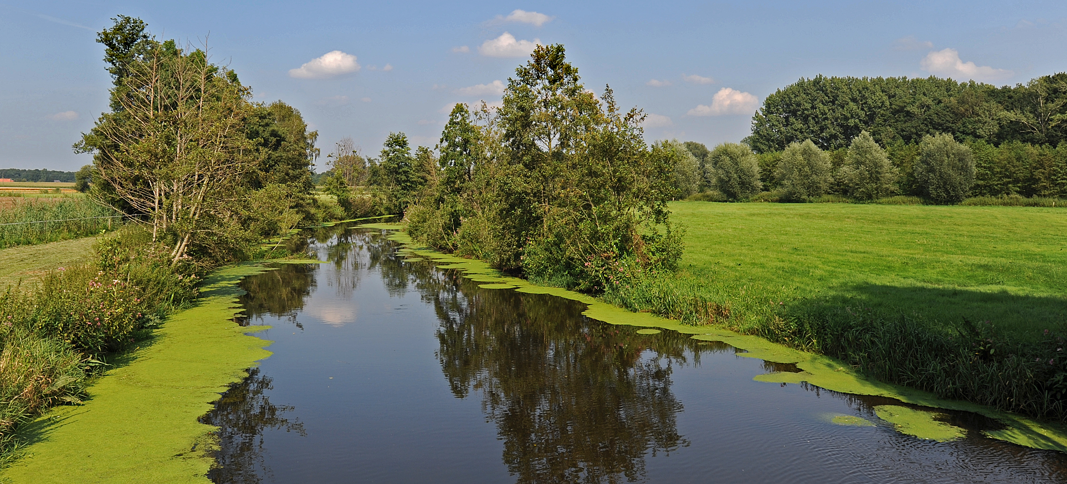 The Aa – river landscape in the Münsterland region near Borken